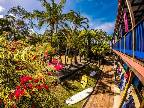 Cool Bananas Backpackers - Tweed Heads Accommodation 17