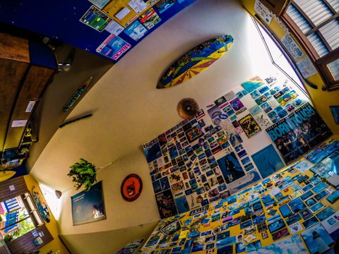 Cool Bananas Backpackers - Tweed Heads Accommodation 29