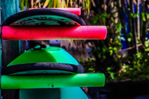 Cool Bananas Backpackers - Tweed Heads Accommodation 39
