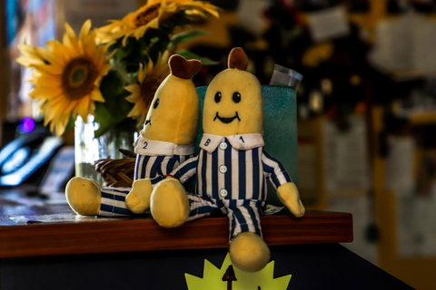 Cool Bananas Backpackers - Tweed Heads Accommodation 30
