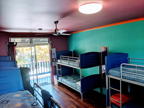 Cool Bananas Backpackers - Tweed Heads Accommodation 5