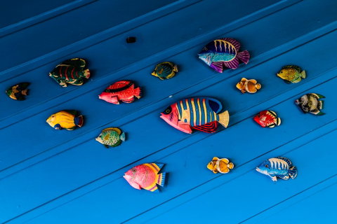 Cool Bananas Backpackers - Tweed Heads Accommodation 20