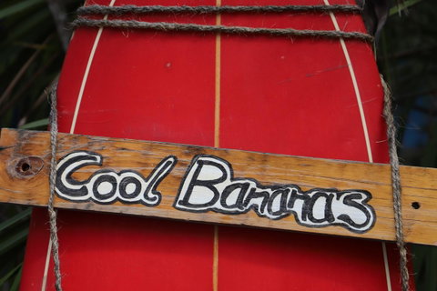Cool Bananas Backpackers - Tweed Heads Accommodation 41