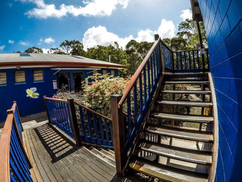Cool Bananas Backpackers - Tweed Heads Accommodation 27