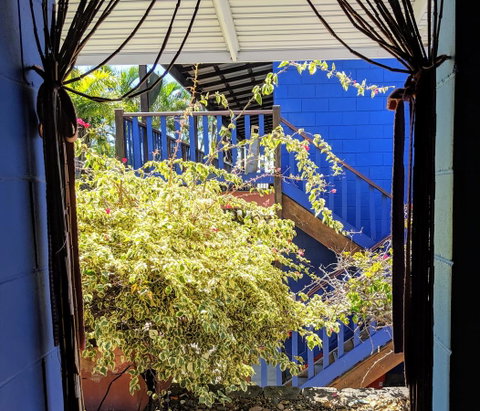 Cool Bananas Backpackers - Tweed Heads Accommodation 10