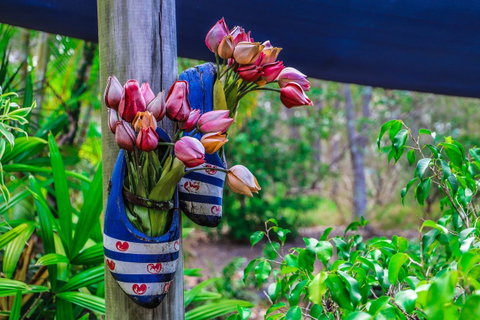 Cool Bananas Backpackers - Tweed Heads Accommodation 26
