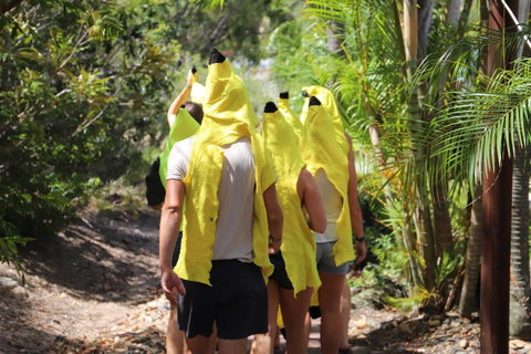 Cool Bananas Backpackers - Tweed Heads Accommodation 19