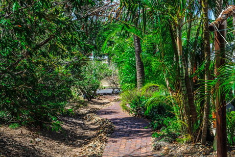 Cool Bananas Backpackers - Tweed Heads Accommodation 15