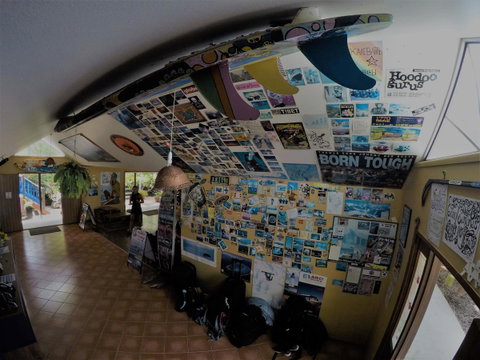 Cool Bananas Backpackers - Tweed Heads Accommodation 31