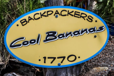 Cool Bananas Backpackers - Tweed Heads Accommodation 38