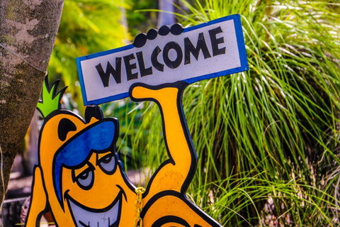 Cool Bananas Backpackers - Tweed Heads Accommodation 37