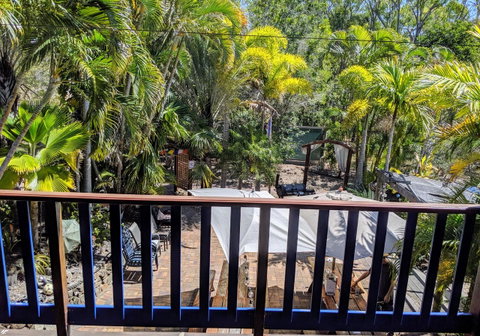 Cool Bananas Backpackers - Tweed Heads Accommodation 4