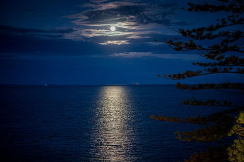 The Sebel Brisbane Margate Beach - Tweed Heads Accommodation 10