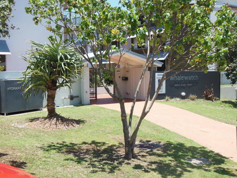 Whale Watch Ocean Beach Resort - Tweed Heads Accommodation 14
