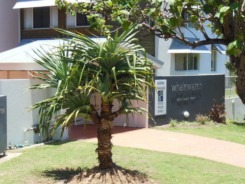 Whale Watch Ocean Beach Resort - Tweed Heads Accommodation 15