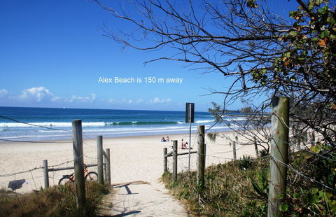 Alex Beach Cabins And Tourist Park - Tweed Heads Accommodation 16