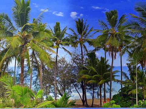 By The Sea Port Douglas - Tweed Heads Accommodation 3