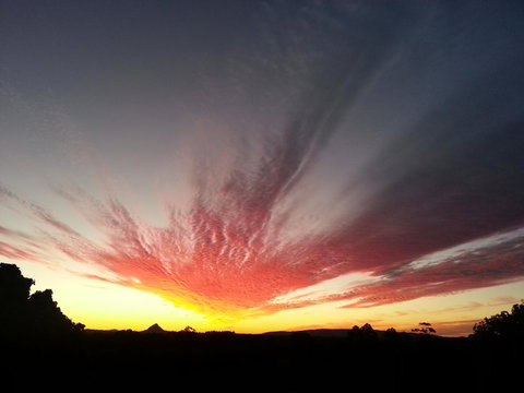 Ivory Palms Resort Noosa - Tweed Heads Accommodation 13