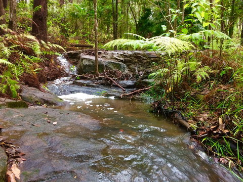 Noosa Hinterland Retreat - Tweed Heads Accommodation 12
