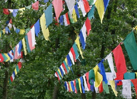 Noosa Hinterland Retreat - Tweed Heads Accommodation 10