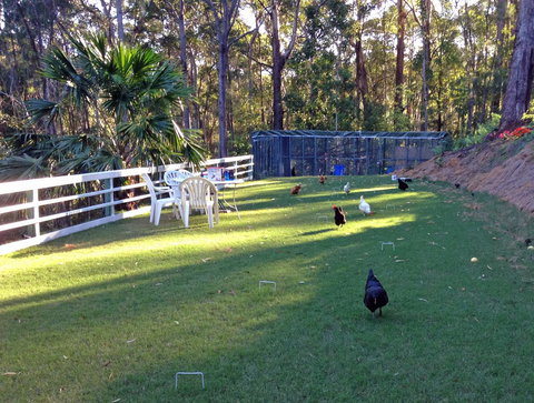 Noosa Hinterland Retreat - Tweed Heads Accommodation 11