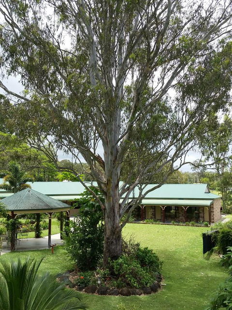 The Bearded Dragon Boutique Hotel - Tweed Heads Accommodation 32