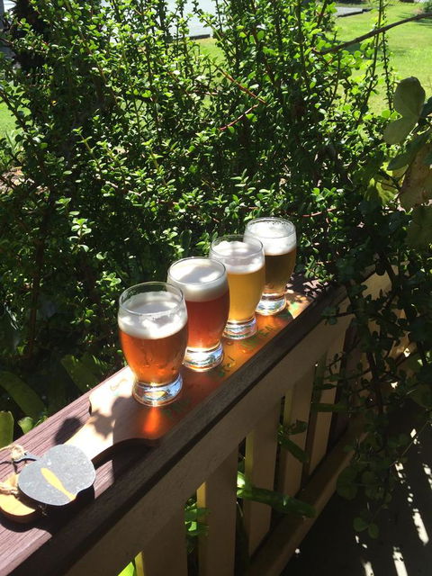 The Bearded Dragon Boutique Hotel - Tweed Heads Accommodation 31