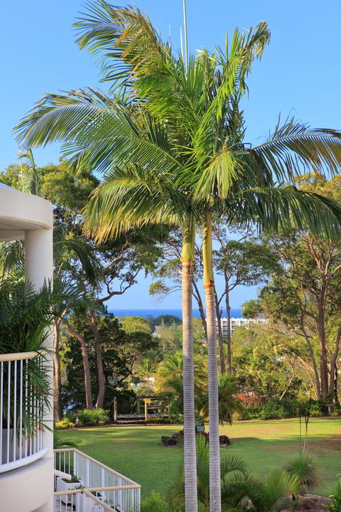 Serenity Apartments Noosa - Tweed Heads Accommodation 14