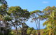 Serenity Apartments Noosa - thumb 26