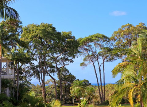 Serenity Apartments Noosa - Tweed Heads Accommodation 26