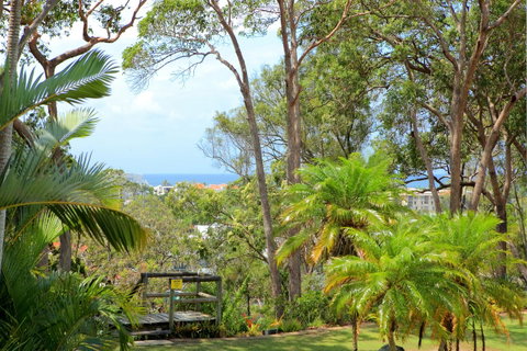 Serenity Apartments Noosa - Tweed Heads Accommodation 1