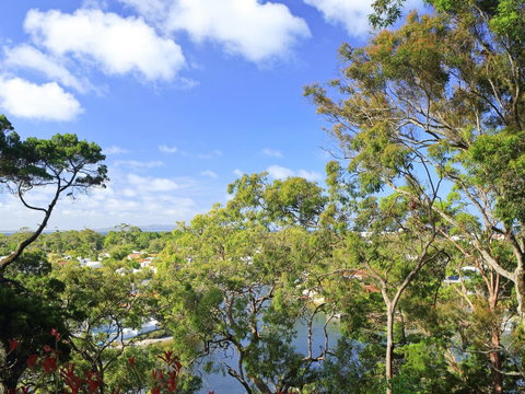 Serenity Apartments Noosa - Tweed Heads Accommodation 16