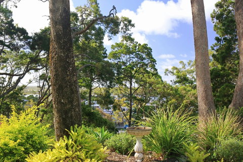 Serenity Apartments Noosa - Tweed Heads Accommodation 15