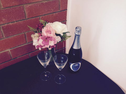 XYL Pets Friendly Seaside Boutique Guesthouse - Tweed Heads Accommodation 26