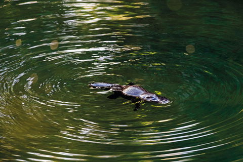 Riviera Mackay - Tweed Heads Accommodation 15