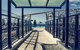 Soul Surfers Paradise - Gclr - thumb 16