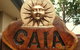 Gaia On Bribie Island - thumb 1