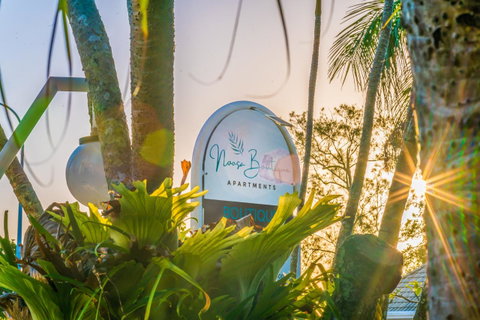 Noosa Boutique Apartments & Elkhorn Villas - Tweed Heads Accommodation 9