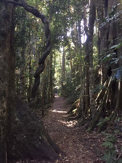 Kirra Surf Apartments - Tweed Heads Accommodation 11