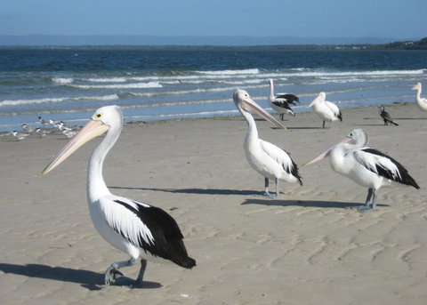 Fairways Golf & Beach Retreat Bribie Island - Tweed Heads Accommodation 3