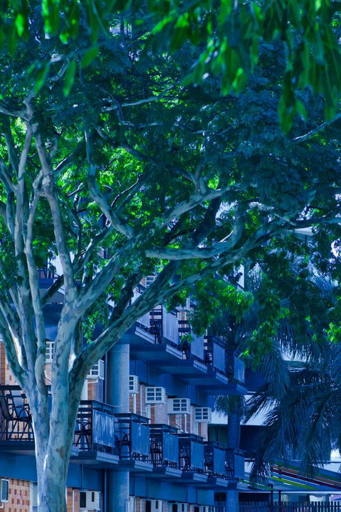 Soho Brisbane - Tweed Heads Accommodation 12