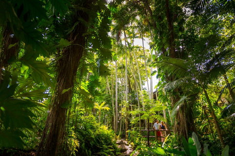 Cairns Colonial Club Resort - Tweed Heads Accommodation 22