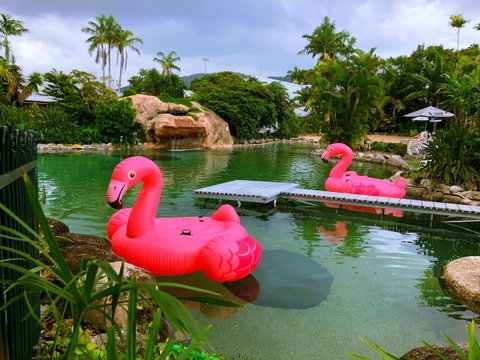 Cairns Colonial Club Resort - Tweed Heads Accommodation 6