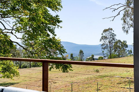 Hollow Tree Farm - Tweed Heads Accommodation 15