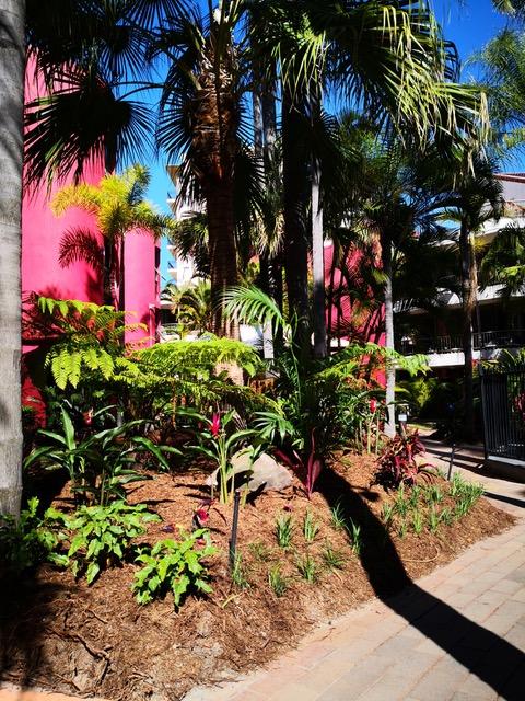 Enderley Gardens Resort - Tweed Heads Accommodation 12