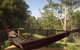 Whispering Valley Cottage Retreat - thumb 0