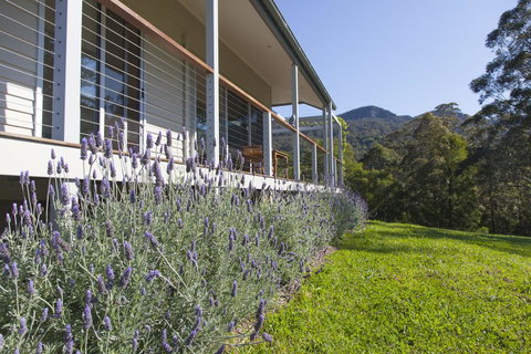 Wilderberry Cottage - Tweed Heads Accommodation 3