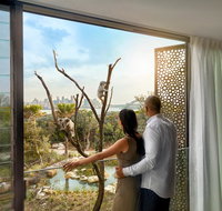 Wildlife Retreat at Taronga - Tweed Heads Accommodation