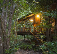 Wildwood - Tweed Heads Accommodation