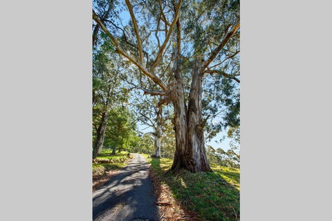 WOOLWAY - Tweed Heads Accommodation 1